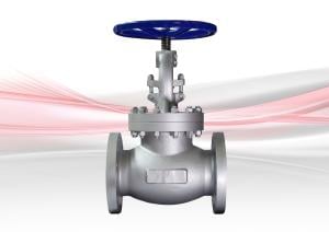 151XU Globe Valve - Class 300 - Cast Steel