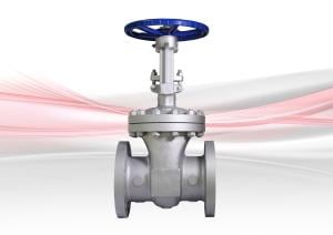 33XU-F Gate Valve - Cast Steel