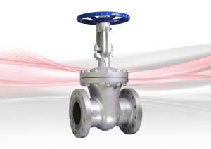 33XU-F Gate Valve - Cast Steel