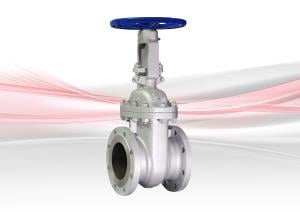 47XU-F Gate Valve - Cast Steel