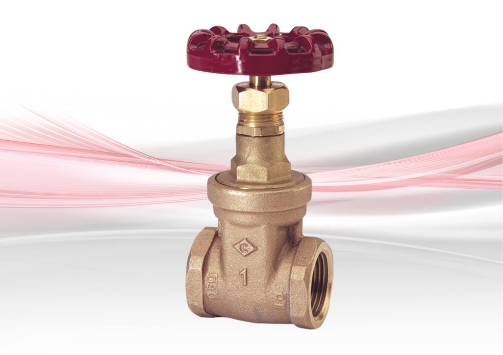 D151X Gate Valve - Bronze