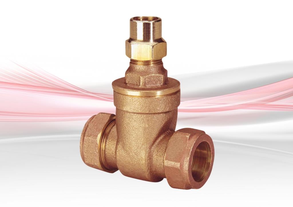 D255C Gate Valve - Bronze