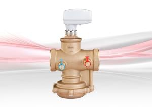 D995 Pressure Independent Control Valve (PICV)