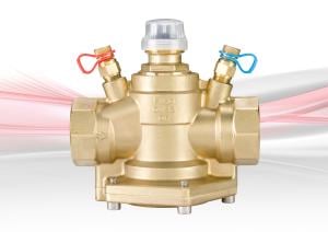 D995 Pressure Independent Control Valve (PICV)