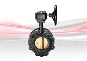 DM950G Flow Measurement and Regulating Valve