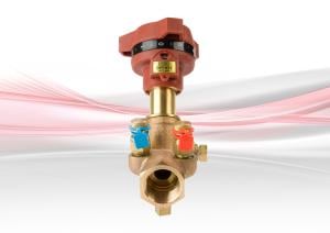 DPF931 Companion Valve - suitable for female ended DPCV - Bronze