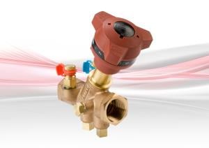 DPF931 Companion Valve - suitable for female ended DPCV - Bronze