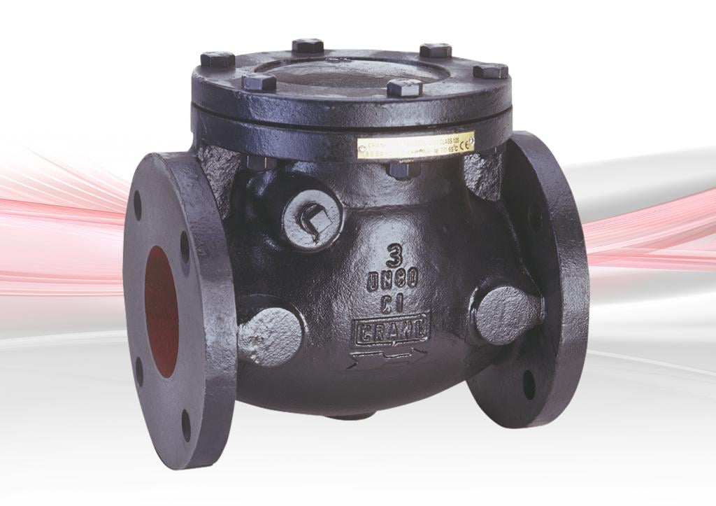 F493 Check Valve - Cast Iron