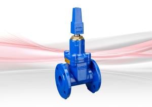 FM124 / FM125 Resilient Seated Gate Valve (RSGV) - Ductile Iron