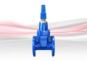 FM124 / FM125 Resilient Seated Gate Valve (RSGV) - Ductile Iron