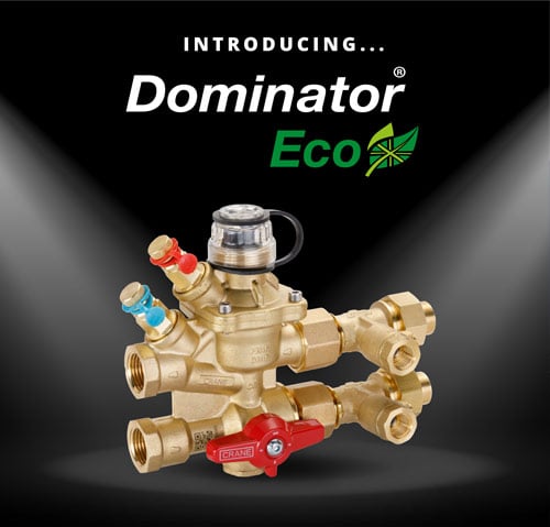 intro-dom-eco